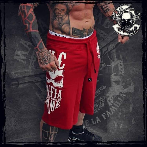 Men's Fitness Shorts – Gym Training