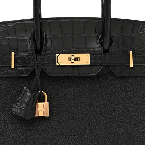 Togo Matte Alligator Birkin Touch 30 Black
